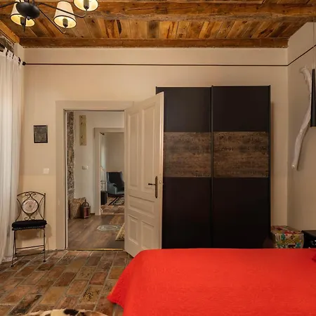 Okra With Pool - Happy *